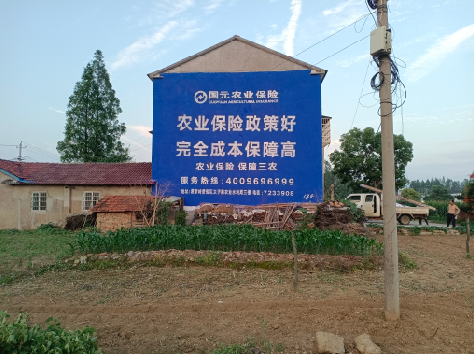 中方墙体广告的优劣势你知道吗？